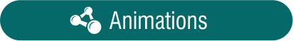 Animations