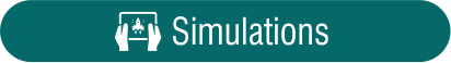 Simulations